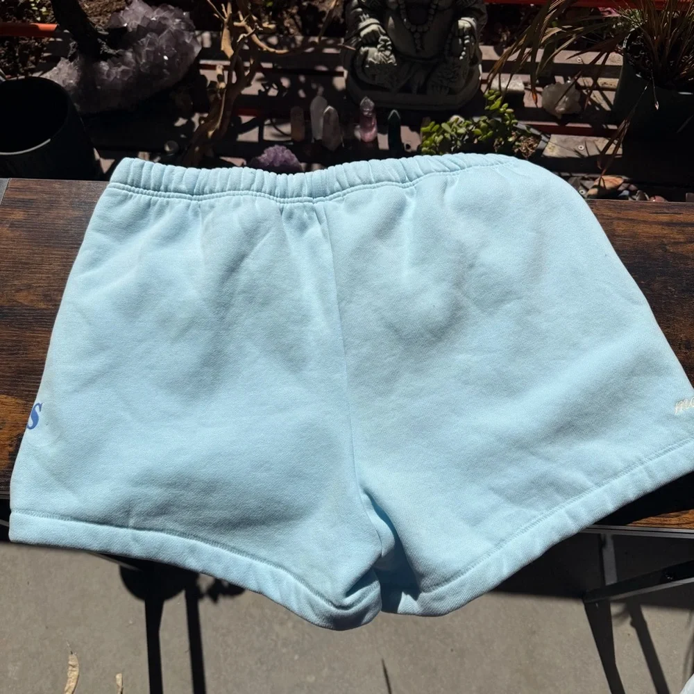 The Mayfair Group Your Emotions are Valid Light Blue Shorts - Picture 6 of 6